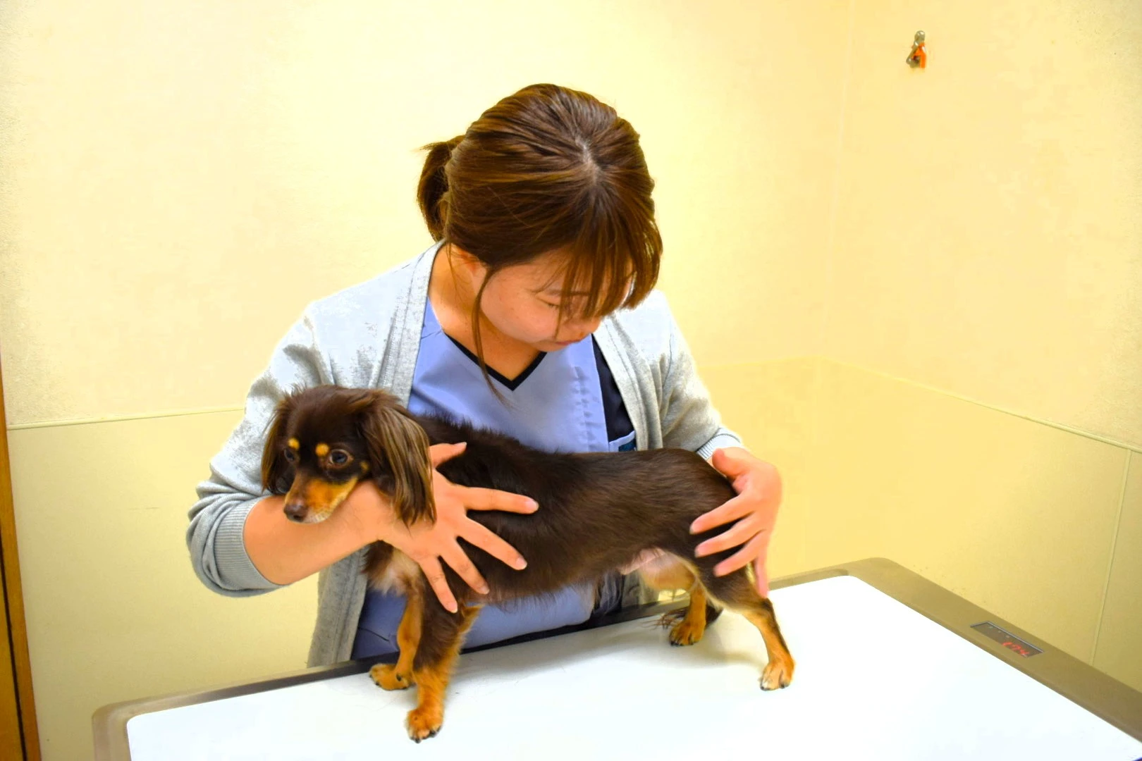 得意不得意はあって当たり前